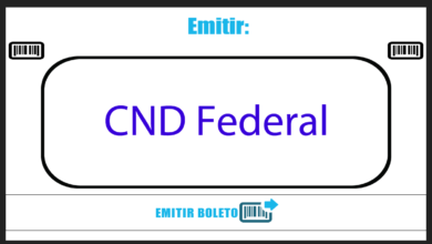 Emitir CND Federal - Tudo do Assunto